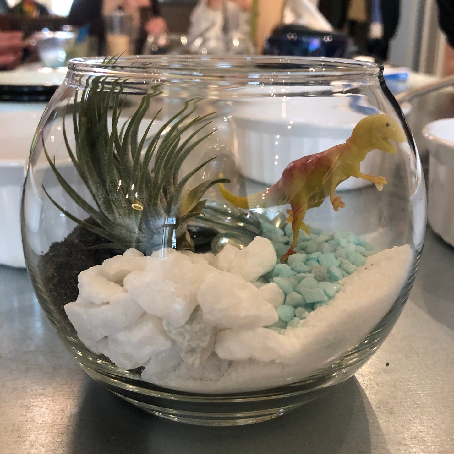 Secure Your Terrarium - DIY Birthday Event