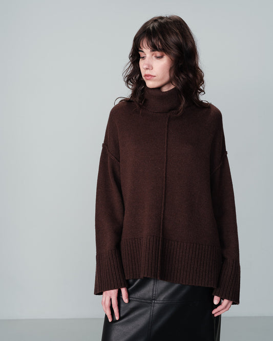 Oversized Wool Turtleneck In Brown